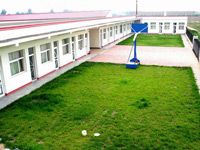 ҽ����ҵɱ������